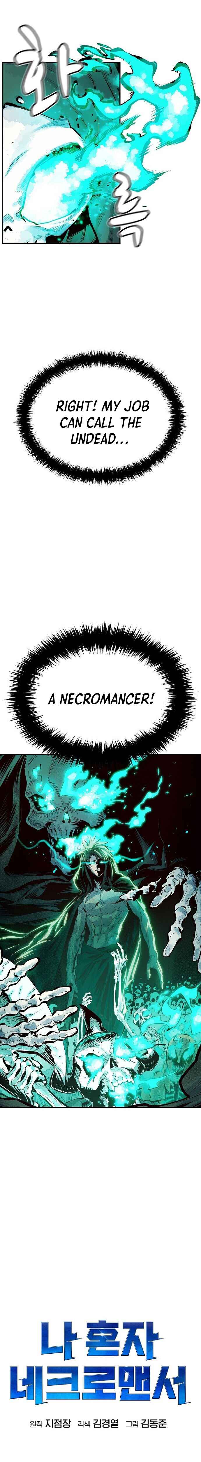 The Lone Necromancer Chapter 1 30